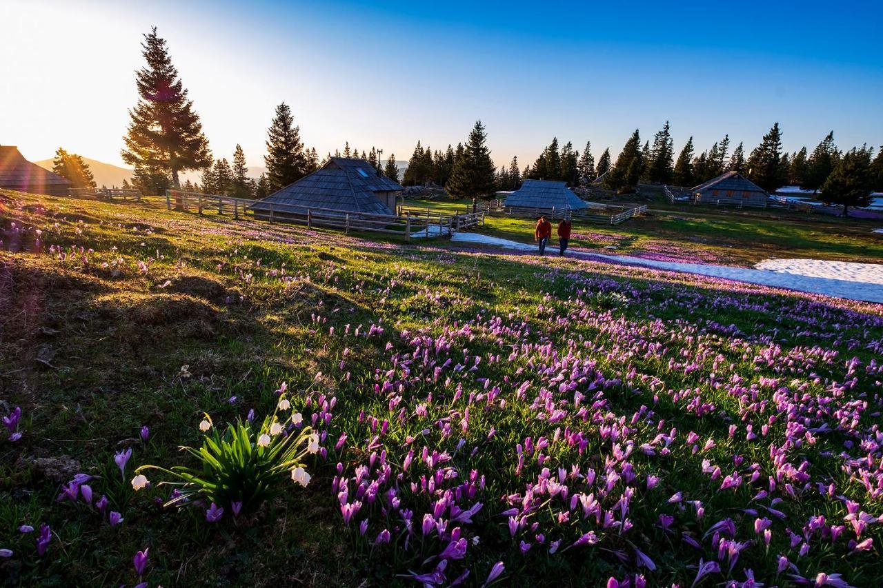 Hotel Glamping Ob Robu Gozda Kamnik Zewnętrze zdjęcie