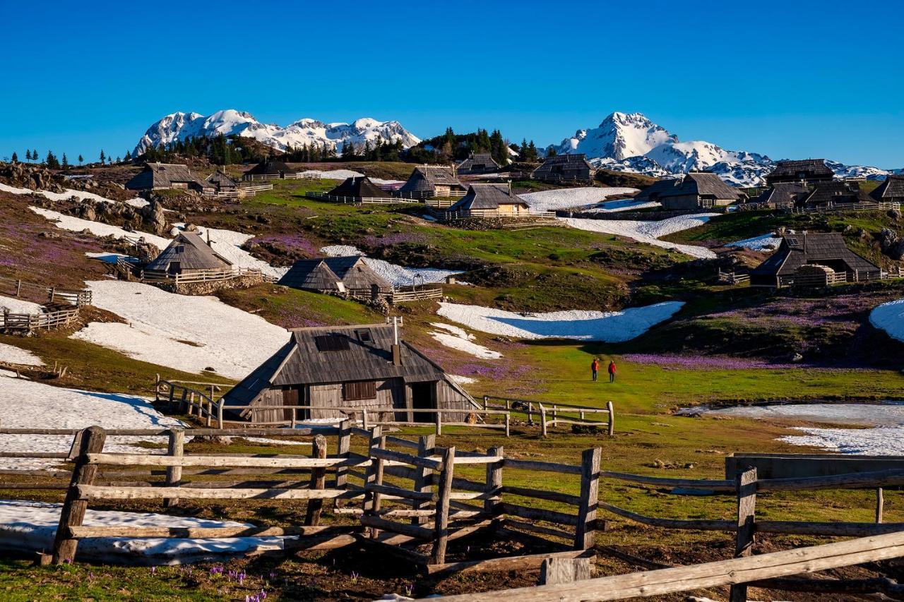 Hotel Glamping Ob Robu Gozda Kamnik Zewnętrze zdjęcie